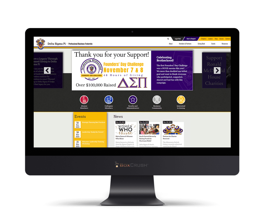 bc_web-portfolio-dsp