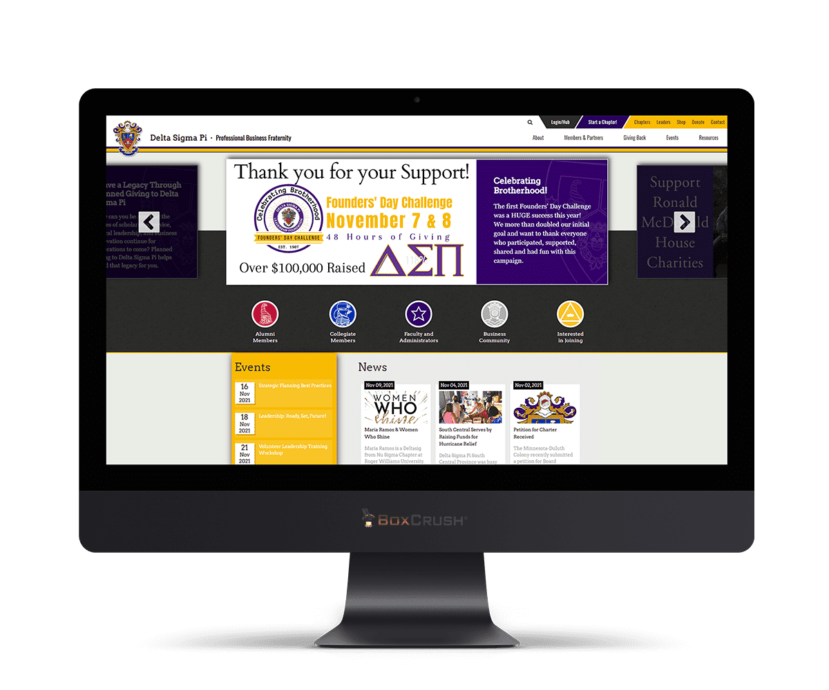 bc_web-portfolio-dsp