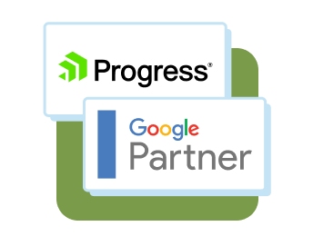 sitefinity-google-partner
